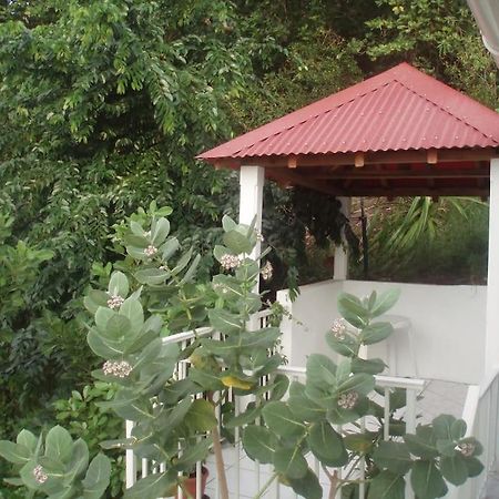 Studio De Charme Au Coeur Du Village, Vue Baie Terre-De-Haut Kültér fotó