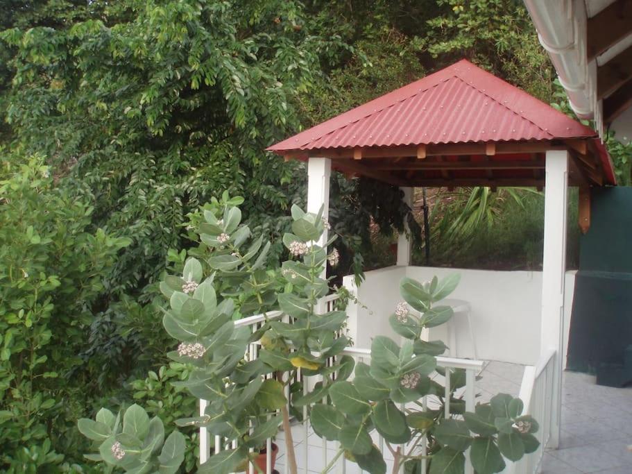 Studio De Charme Au Coeur Du Village, Vue Baie Terre-De-Haut Kültér fotó